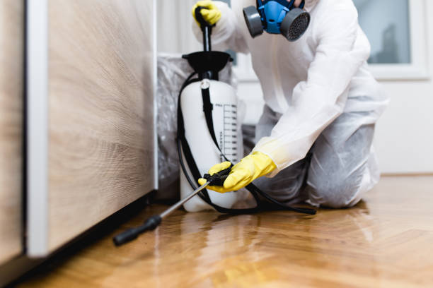Best Emergency Pest Control  in Jasper, IN