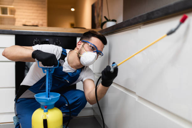 Best Flea Control Services  in Jasper, IN