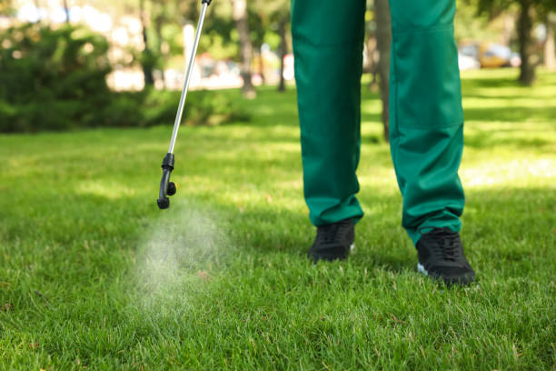 Best Pest Inspection Near Me  in Jasper, IN