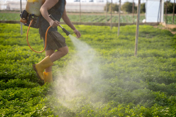 Best Ant Control Services  in Jasper, IN