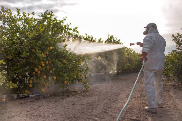 Best Wildlife Control Services  in Jasper, IN