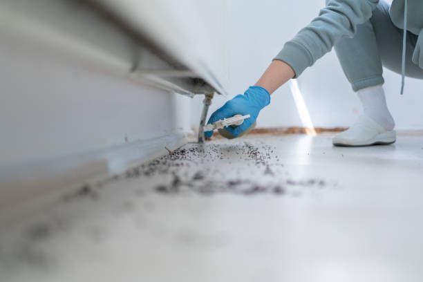 Best Best Pest Control Companies  in Jasper, IN